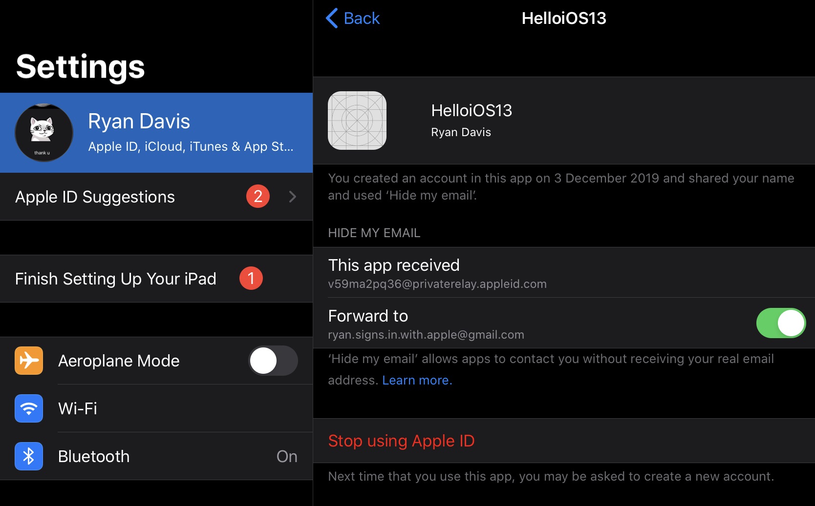 image of the demo app's entry under iCloud Passwords and Security in the iOS Settings app. It shows the relay email address that Apple provided to the developer and includes options that allow the user to either disable email relay, or completely stop using their Apple ID with the app.